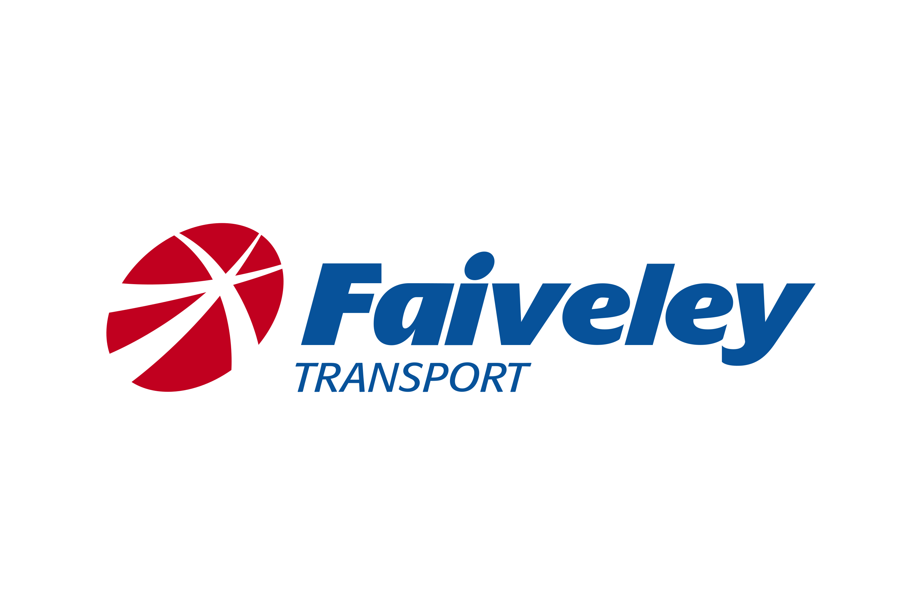 Faiveley Transport client logo